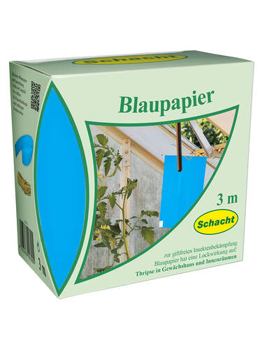 Schacht Blaupapier