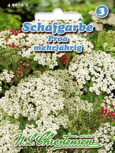 Hauptbild des Artikels "Schafgarbe Proa" aus der Kategorie "Samen"