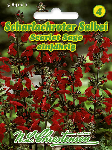 Hauptbild des Artikels "Scharlachroter Salbei Scarlet Sage" aus der Kategorie "Samen"
