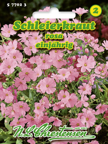 Schleierkraut Rosa