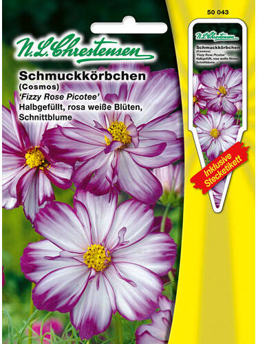Hauptbild des Artikels "Schmuckkrbchen Fizzy Rose Picotee" aus der Kategorie "Samen"