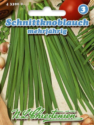 Hauptbild des Artikels "Schnittknoblauch Wagners Kobold" aus der Kategorie "Samen"