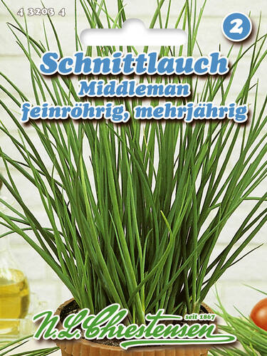 Hauptbild des Artikels "Schnittlauch Middleman" (Bildbeschreibung ist in Arbeit)