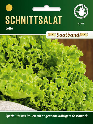 Hauptbild des Artikels "Schnittsalat Lollo" (Bildbeschreibung ist in Arbeit)