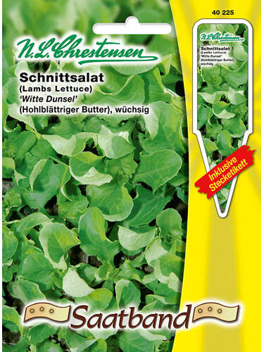 Hauptbild des Artikels "Schnittsalat Witte Dunsel" aus der Kategorie "Samen"