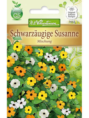 Schwarzugige Susanne Mischung