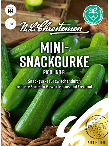 Hauptbild des Artikels "Snackgurke Picolino, F1"
