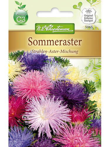 Samen - Sommeraster Strahlen-Aster-Mischung