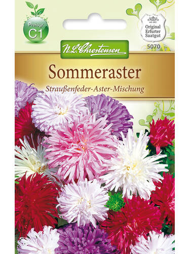 Samen - Sommeraster Strauenfeder-Aster-Mischung