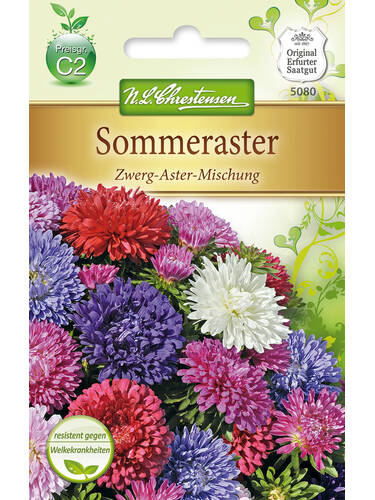 Hauptbild des Artikels "Sommeraster Zwerg-Aster-Mischung" aus der Kategorie "Samen"