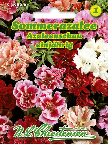 Hauptbild des Artikels "Sommerazalee Azaleenschau" aus der Kategorie "Samen"