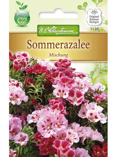 Hauptbild des Artikels "Sommerazalee Mischung" aus der Kategorie "Samen"