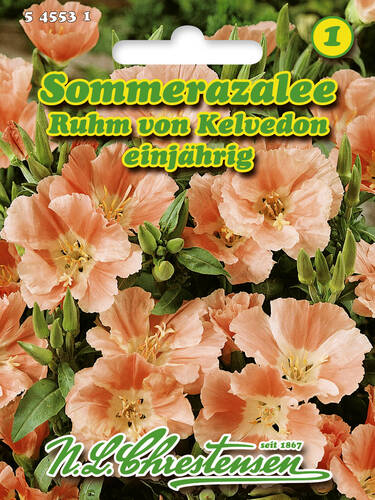 Hauptbild des Artikels "Sommerazalee Ruhm von Kelvedon" aus der Kategorie "Samen"