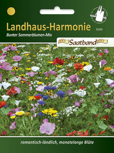 Sommerblumen-Mischung Landhaus-Harmonie