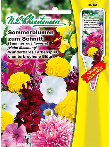 Sommerblumen zum Schnitt-Hohe Mischung