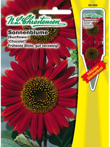 Sonnenblume 'Chocolat' rotbraun ' Helianthus annus'  50053 Saatgut 