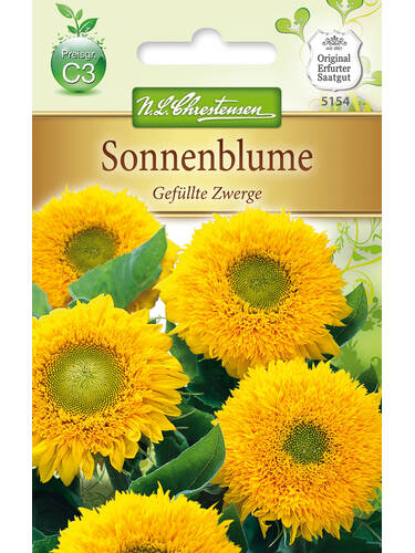 Samen - Sonnenblume Gefllte Zwerge