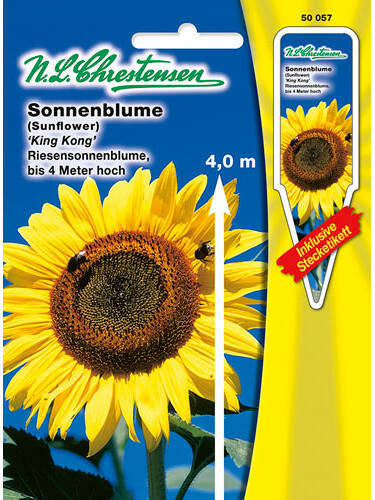Hauptbild des Artikels "Sonnenblume King Kong" aus der Kategorie "Samen"