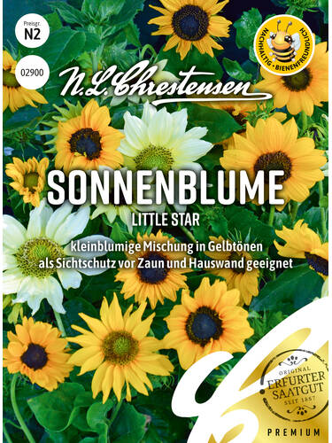 Samen - Sonnenblume Little Star