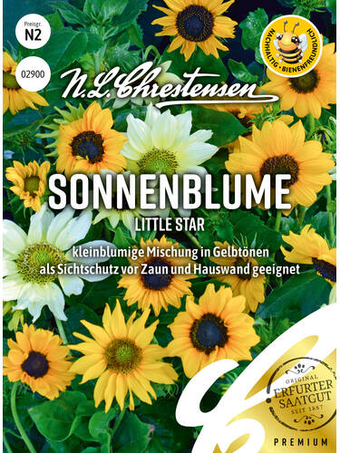 Sonnenblume Little Star