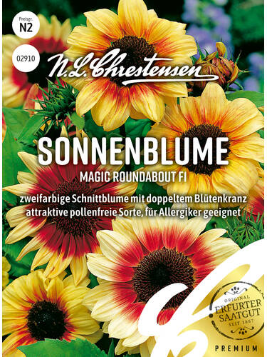 Sonnenblume Magic Roundabout F1