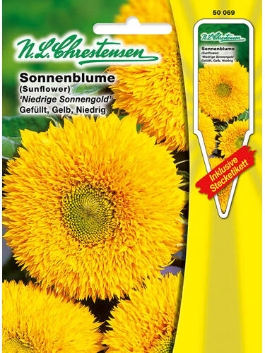 Samen - Sonnenblume Niedrige Sonnengold