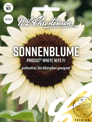 Hauptbild des Artikels "Sonnenblume Procut� White Nite, F1" (Bildbeschreibung ist in Arbeit)