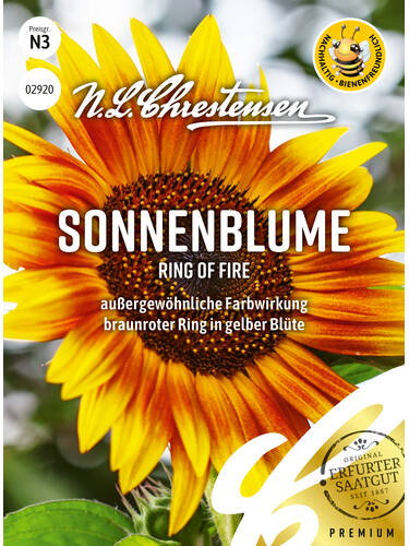 Sonnenblume Ring of Fire