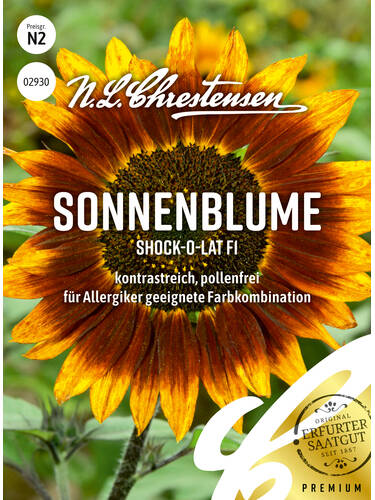 Samen - Sonnenblume Shock-o-lat, F1