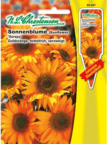 Hauptbild des Artikels "Sonnenblume Soraya" aus der Kategorie "Samen"