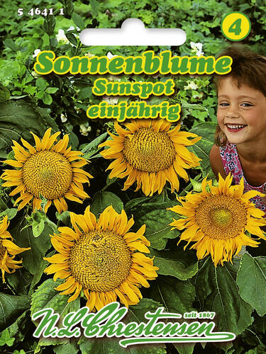 Hauptbild des Artikels "Sonnenblume Sunspot" aus der Kategorie "Samen"
