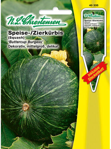 Hauptbild des Artikels "Speise-/ Zierkrbis Buttercup Burgess" aus der Kategorie "Krbissamen"