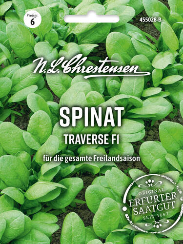 Hauptbild des Artikels "Spinat Traverse, F1" (Bildbeschreibung ist in Arbeit)