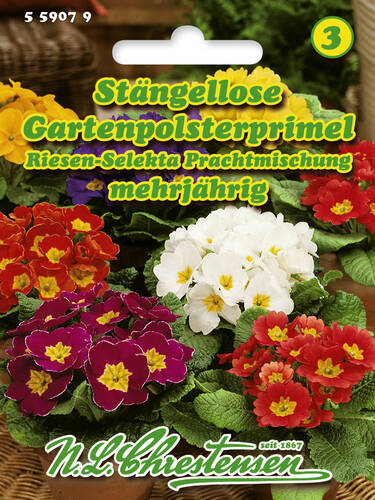 Hauptbild des Artikels "Stngellose Gartenpolsterprimel Riesen Selekta-Prachtmischung" aus der Kategorie "Samen"