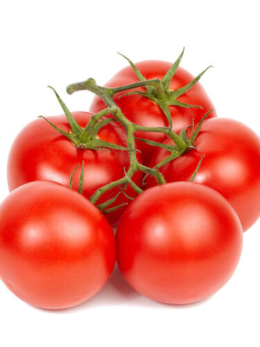 Hauptbild des Artikels "Stabtomate Pannovy, F1 (veredelt)" aus der Kategorie "Gemsepflanzen"