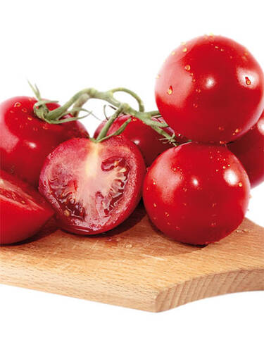 Gemsepflanzen - Stabtomate Phantasia, F1