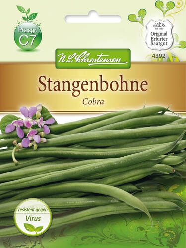 Hauptbild des Artikels "Stangenbohne Cobra"
