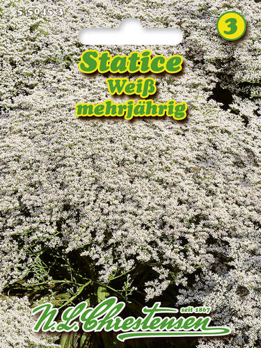 Hauptbild des Artikels "Statice Strandflieder wei"
