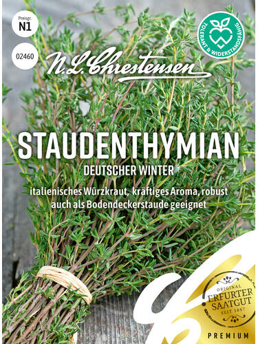 Samen - Staudenthymian Deutscher Winter