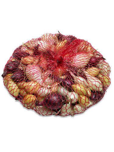 Hauptbild des Artikels "Steckzwiebeln Hobby-Mix" (Bildbeschreibung ist in Arbeit)