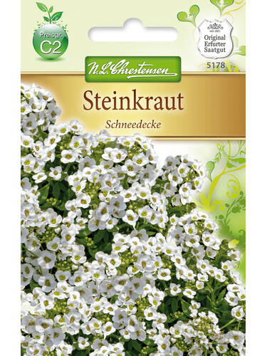 Hauptbild des Artikels "Steinkraut, Schneedecke" aus der Kategorie "Samen"
