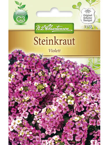 Samen - Steinkraut, Violett