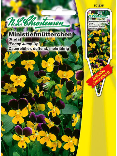 Stiefmutterchen Penny Jump Up Samen Fur Stiefmutterchen Und Hornveilchen Gartenversandhaus De
