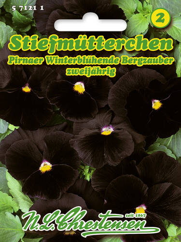 Hauptbild des Artikels "Stiefmtterchen Pirnaer Winterblhende Bergzauber" aus der Kategorie "Samen"