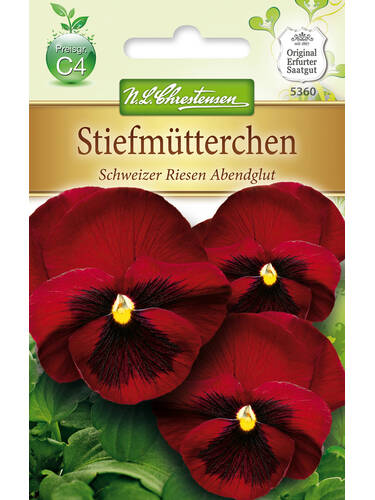 571617  Stiefmütterchen Abendglut  Viola Schweizer Riesen Blumen Sämereien