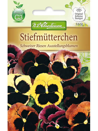Samen - Stiefmtterchen Schweizer Riesen Ausstellungsblumen