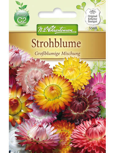 Strohblume Groblumige Mischung