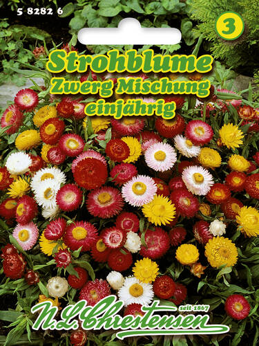 Hauptbild des Artikels "Strohblume Zwerg-Mischung" aus der Kategorie "Samen"