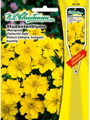 Samen - Studentenblume Favourite Gelb