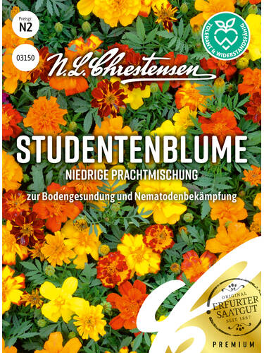 Samen - Studentenblume Niedrige Prachtmischung